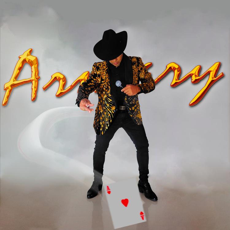 Armary's avatar image