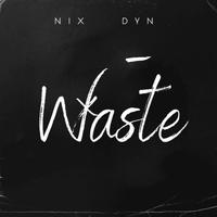 Nix Dyn's avatar cover