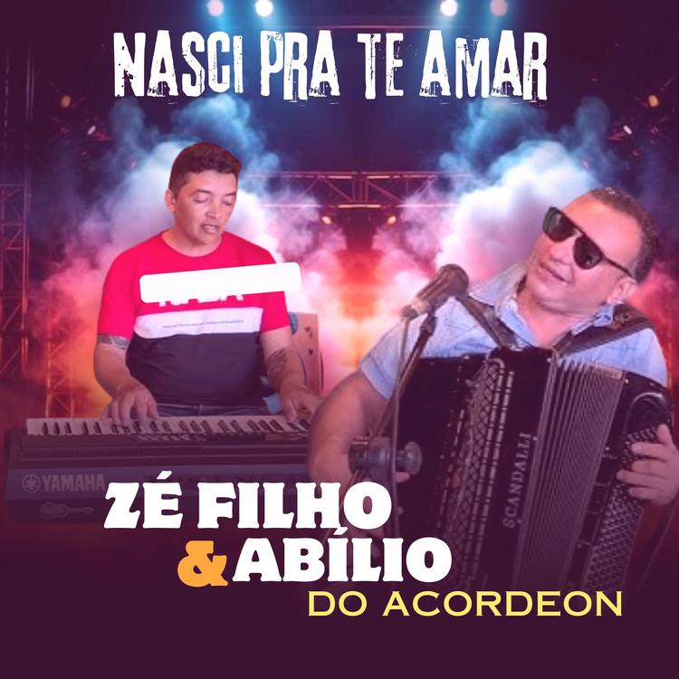 Zé Filho & Abílio do acordeon's avatar image