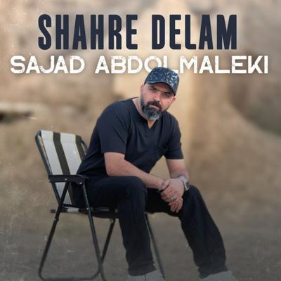 Sajad Abdolmaleki's cover