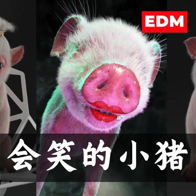 会笑的小猪 (DM)'s cover