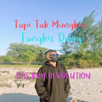 DJ Tapi Tak Mungkin x Tangkis Dang Sound Kane's cover