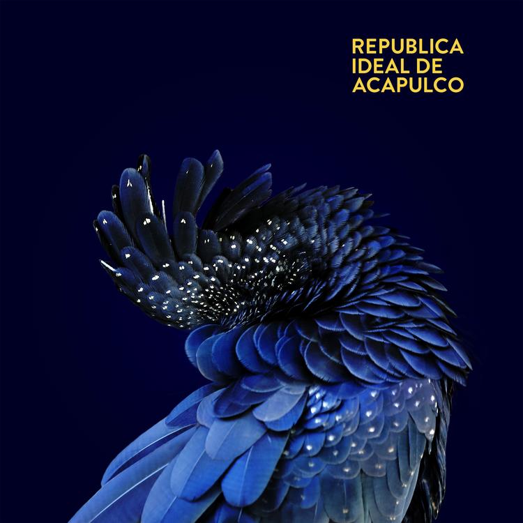 Republica Ideal de Acapulco's avatar image