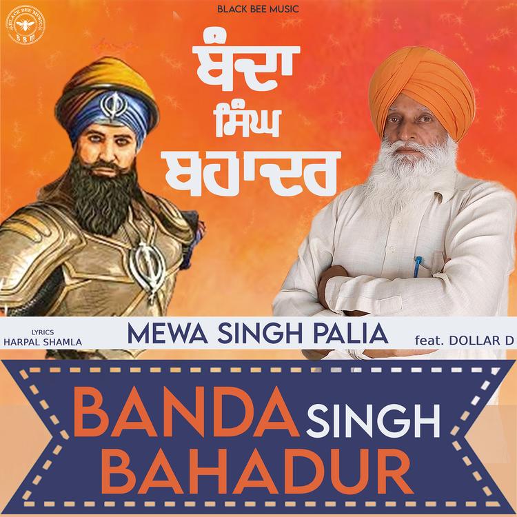 Mewa Singh Palia's avatar image