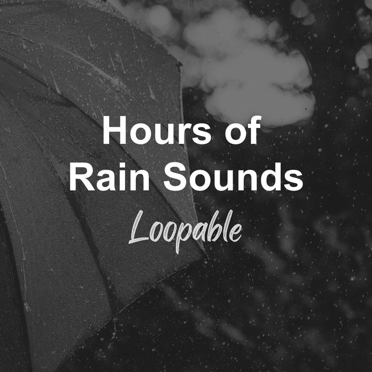 Hours of Rain Sounds TP's avatar image