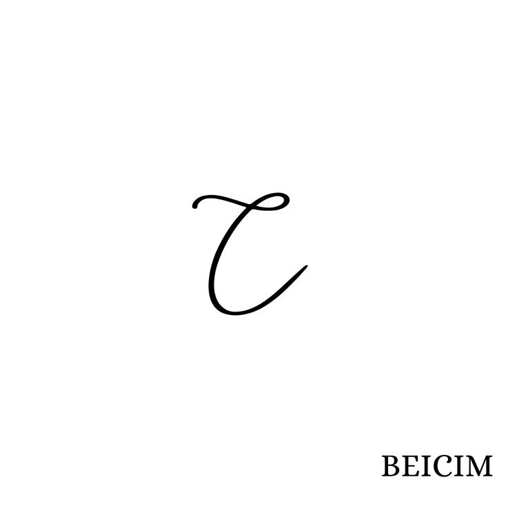 BEICIM's avatar image