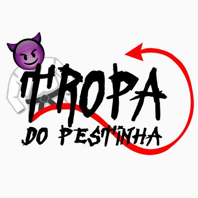SEQUENCIA DE PORRADEIRO DA TROPA DO PESTINHA KKK's cover