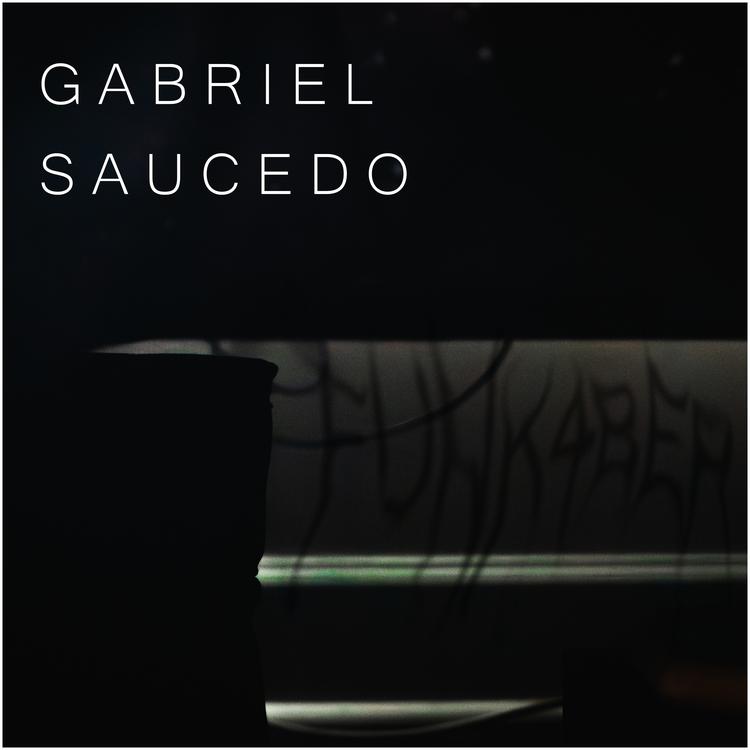 Gabriel Saucedo's avatar image