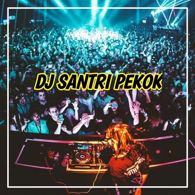 DJ Santri Pekok - Tobat Kapok Lombok Kadang Lurus Kadang Menggok Remix's cover