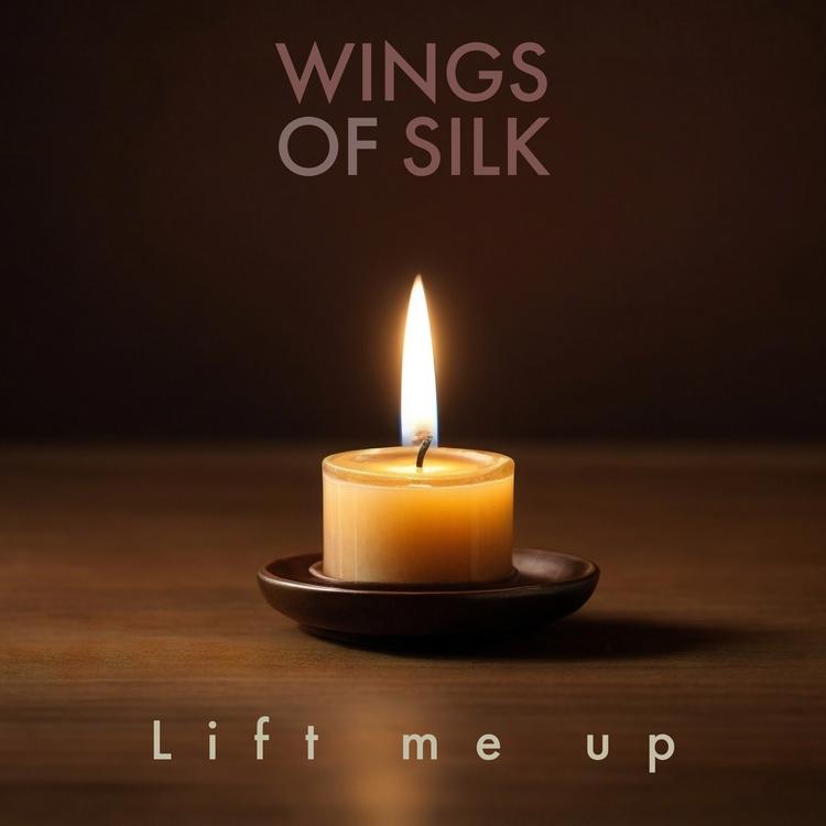 Wings Of Silk's avatar image