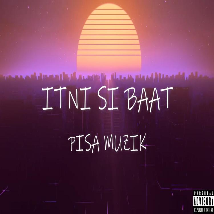 PISA MUZIK's avatar image