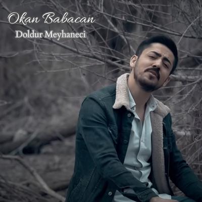 Doldur Meyhaneci's cover