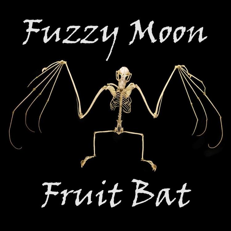 Fuzzy Moon's avatar image