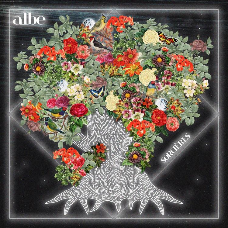 Albe's avatar image