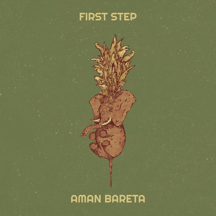 Aman Bareta's avatar image