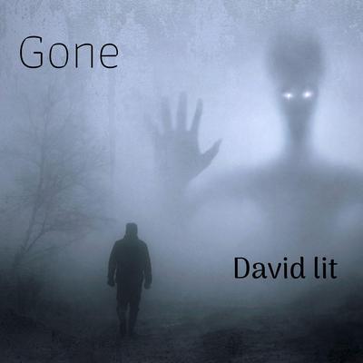 David Lit's cover