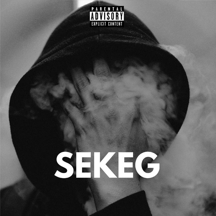 SEKEG's avatar image