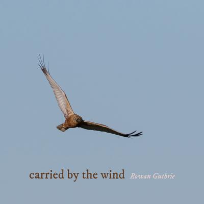 carried by the wind By Rowan Guthrie's cover