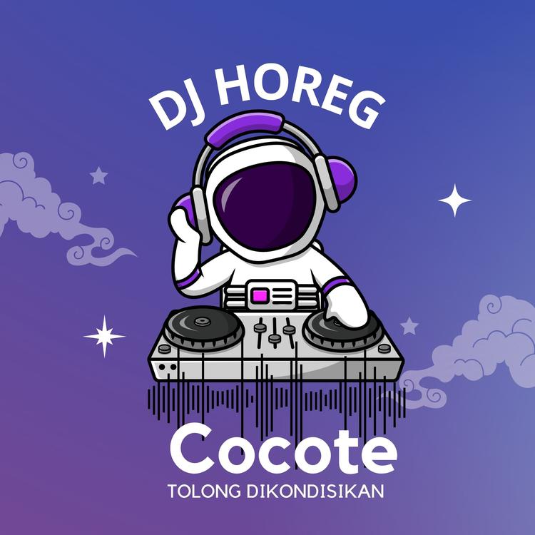DJ HOREG's avatar image