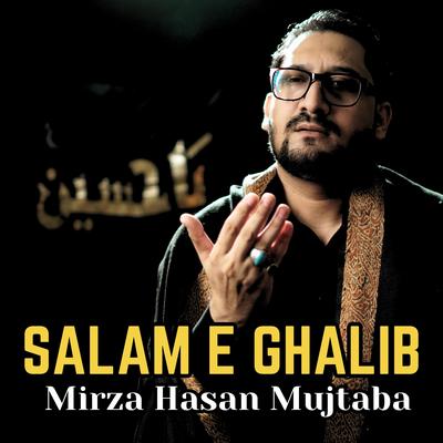 Mirza Hasan Mujtaba's cover