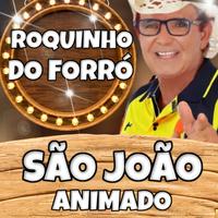 Roquinho do Forró's avatar cover