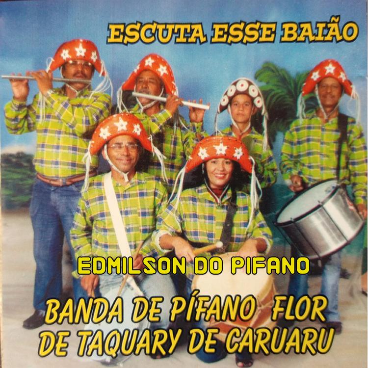 Banda de Pífano Flor de Taquary de Caruaru's avatar image