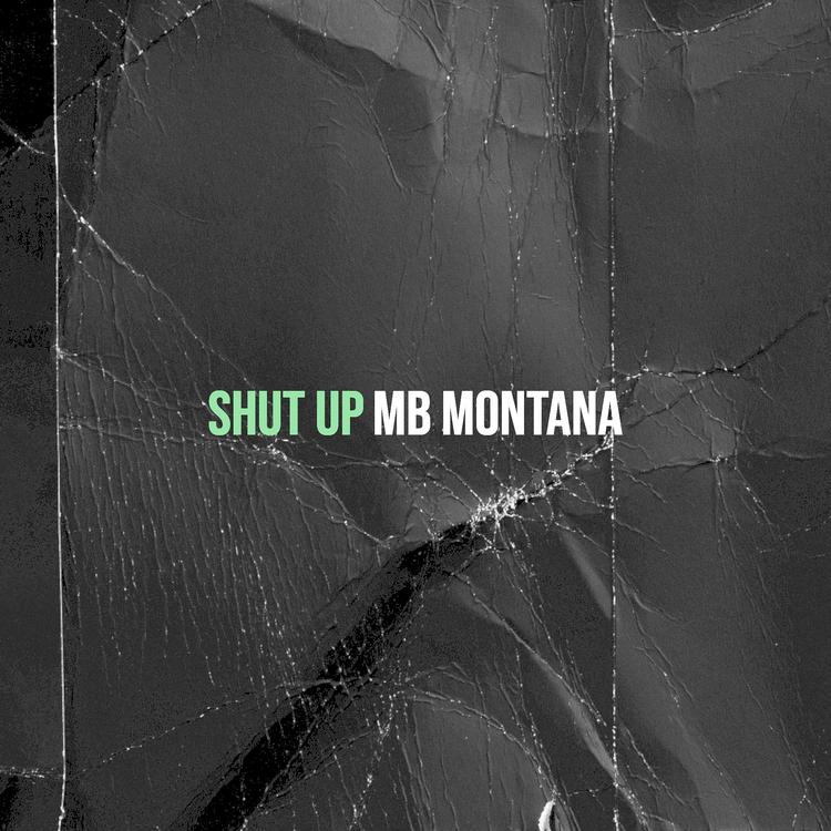 MB Montana's avatar image
