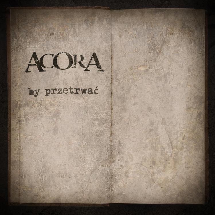ACORA's avatar image