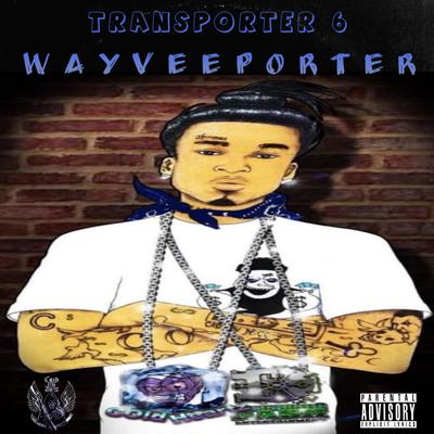 Wayveeporter's cover