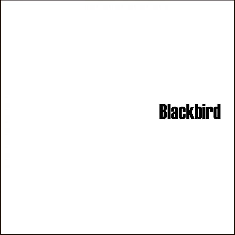 Blackbird with Strings's avatar image