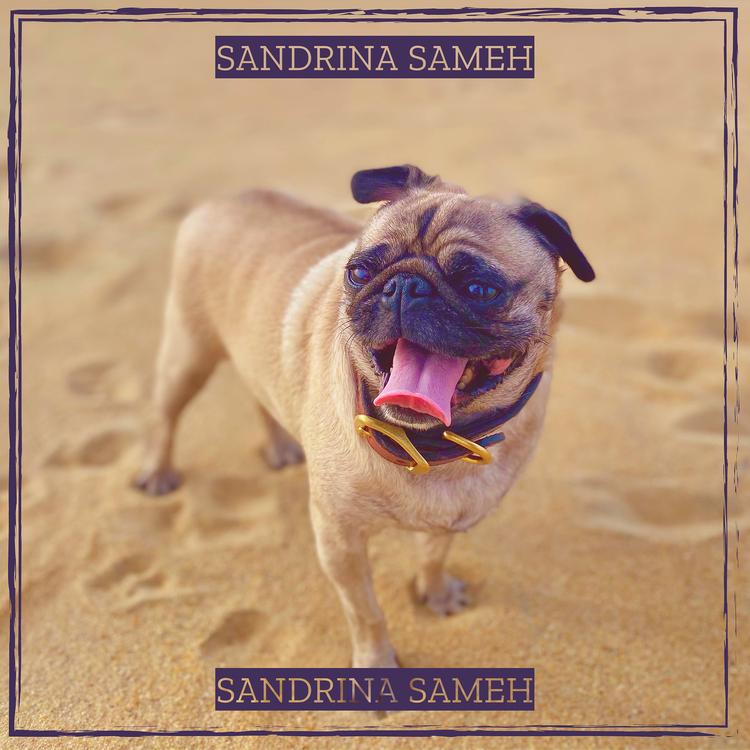 SANDRINA SAMEH's avatar image