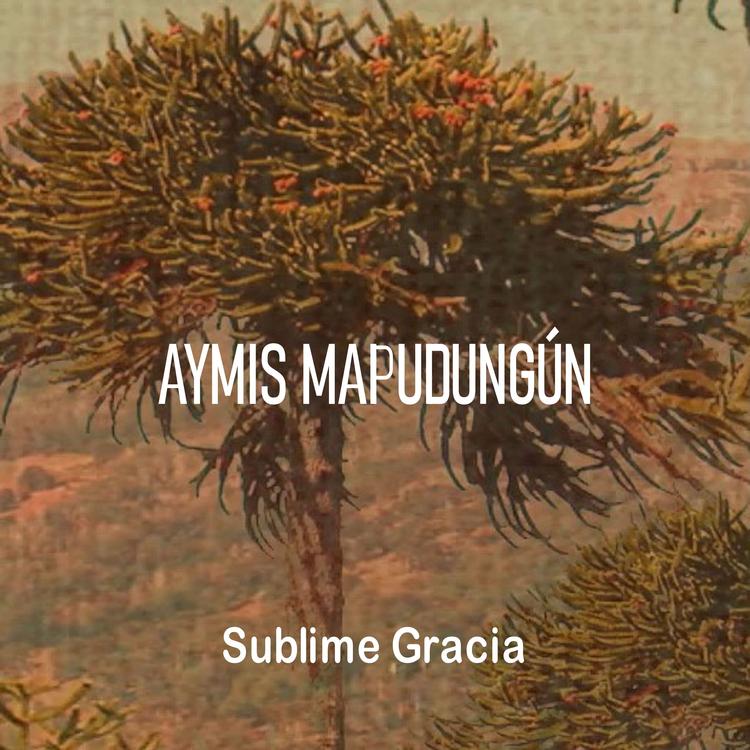 AYMIS MAPUDUNGÚN's avatar image