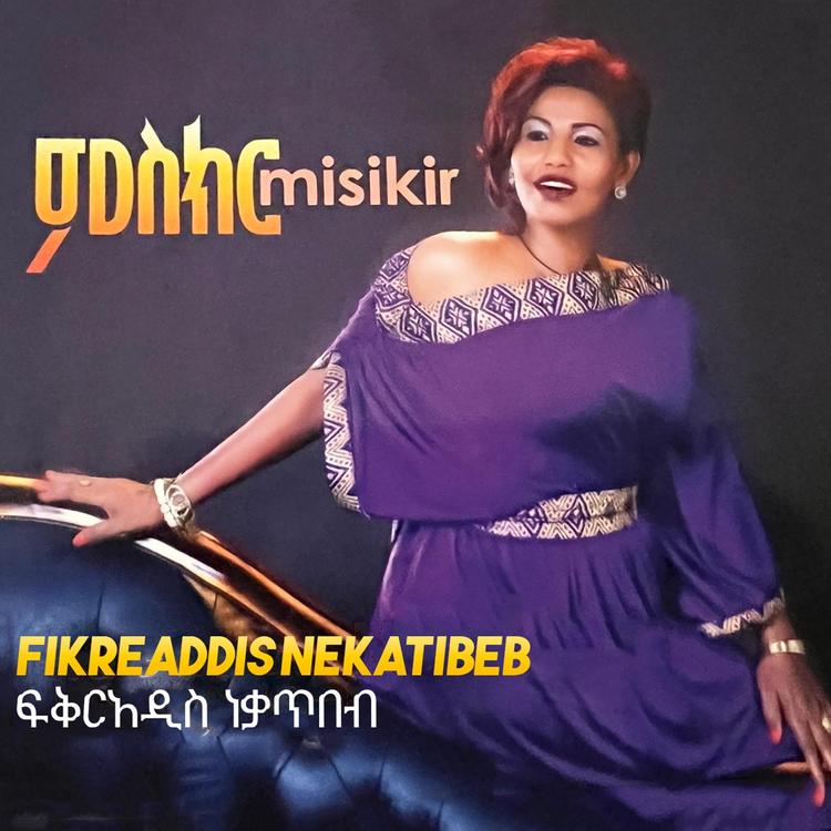 Fikreaddis Nekatibeb's avatar image