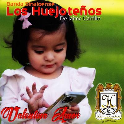 Banda Los Huejoteños's cover