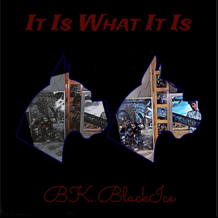 Bk.BlackIce's avatar image