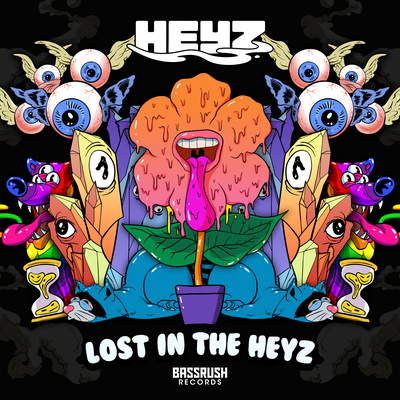 Heyz's cover