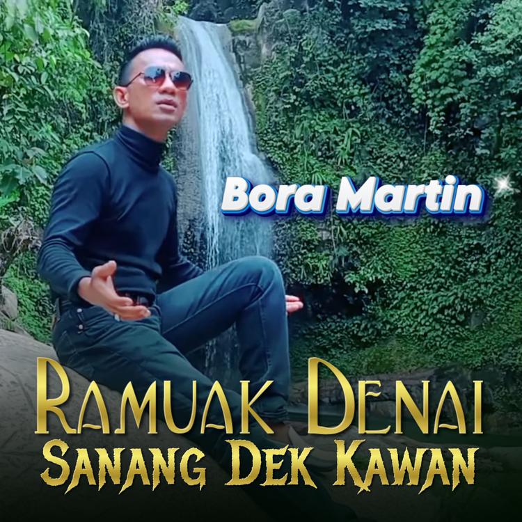 Bora Martin's avatar image