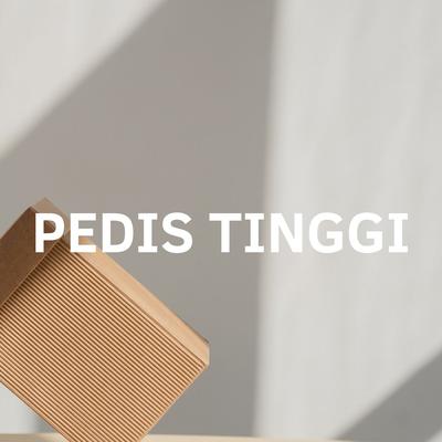 PEDIS TINGGI's cover