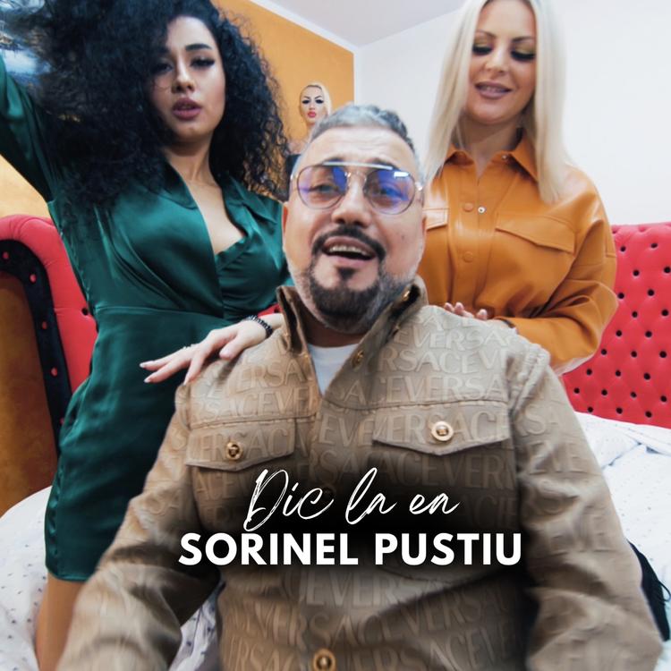 Sorinel Pustiu's avatar image