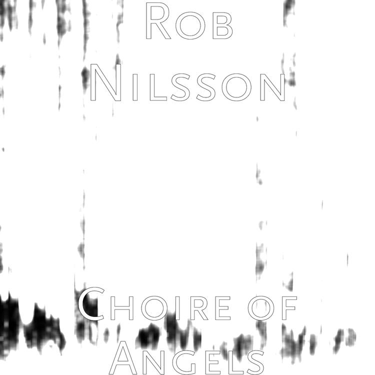 Rob Nilsson's avatar image