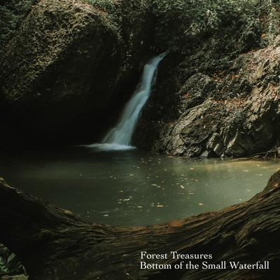 Forest Treasures's cover