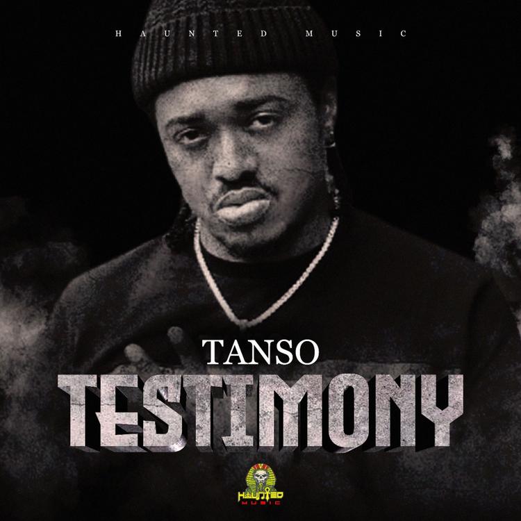 Tanso's avatar image