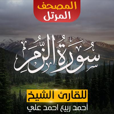 سورة الزمر's cover