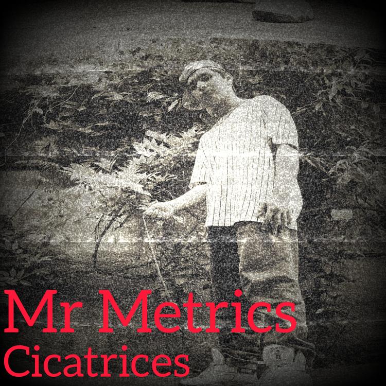 Mr Metrics's avatar image