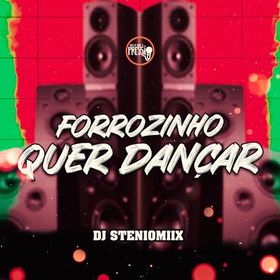 DJ Steniomiix's cover