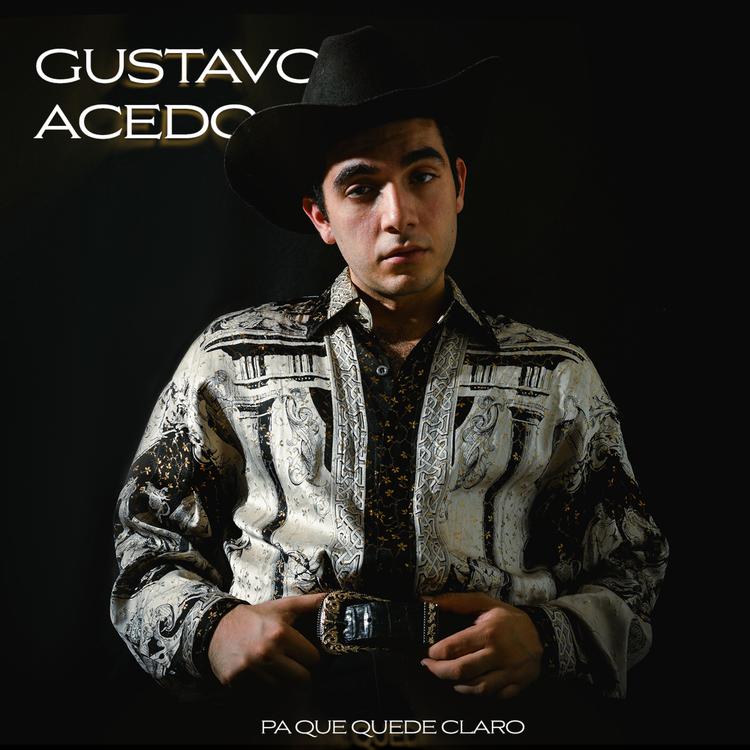 Gustavo Acedo's avatar image