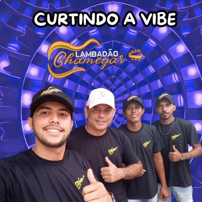 Curtindo a Vibe's cover