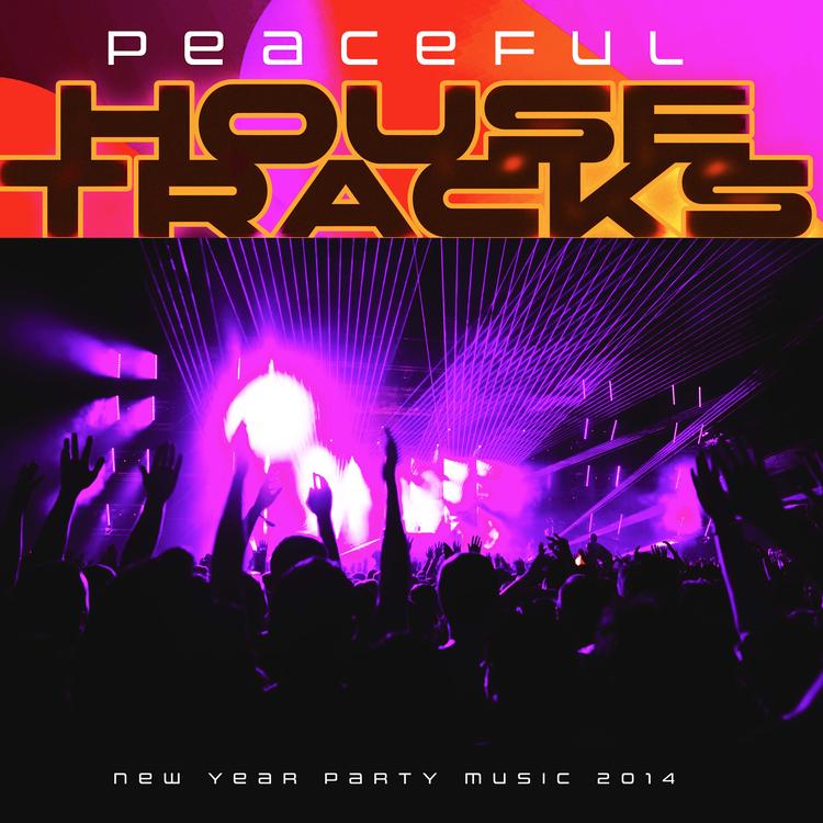 New Year Party Music 2014's avatar image