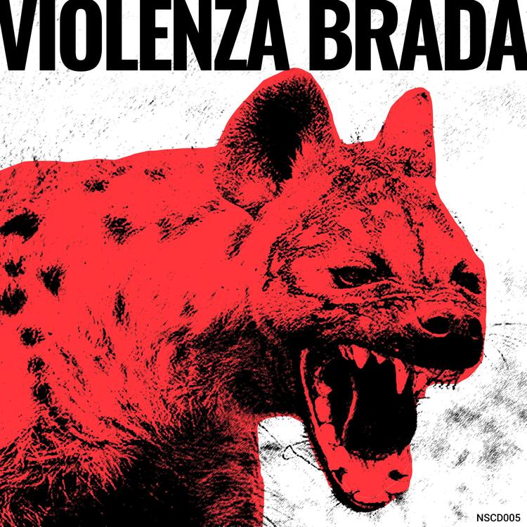 Violenza Brada's avatar image