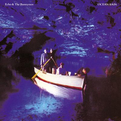 Seven Seas By Echo & the Bunnymen's cover